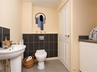 Picture 15